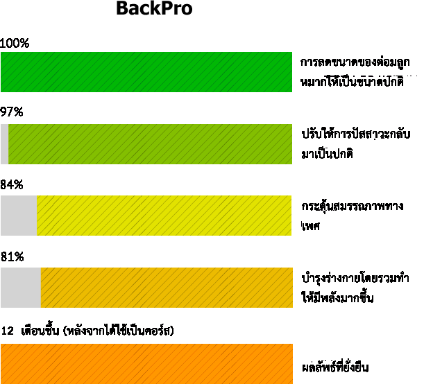 IronProst